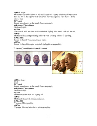 a) Head shape
Oval and wider on the centre of the face. Face flows slightly anteriorly on the inferior
half and flat on the superior half. On certain individuals profile view shows a dome
shaped face.
b) Temple
Round smooth curve as the temple flows posteriorly.
c) Zygomas/Cheek bones
Moderately high.
d) Nose
Not wide on most but some individuals show slightly wide noses. Short but not flat.
e) Lips
Moderately thick and protruding anteriorly with lower lip anterior to upper lip.
f) Mandible
Round U-shaped. Thick mandible on males.
g) Chin
Round U-shaped thick chin posteriorly inclined (run-away chin).
7. Sotho (Central South Africa & Lesotho)

a) Head shape
Oval.
b) Temple
Round smooth curve as the temple flows posteriorly.
c) Zygomas/Cheek bones
Moderately high.
d) Nose
Moderately wide, short and slightly flat.
e) Lips
Moderately thick with limited protrusion.
f) Mandible
V-shaped. Thin mandible.
g) Chin
V-shaped thin chin being flat or slight protruding.

11

 