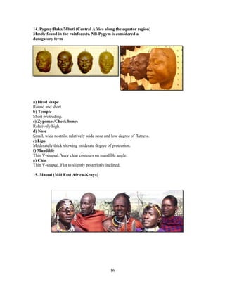 14. Pygmy/Baka/Mbuti (Central Africa along the equator region)
Mostly found in the rainforests. NB-Pygym is considered a
derogatory term

a) Head shape
Round and short.
b) Temple
Short protruding.
c) Zygomas/Cheek bones
Relatively high.
d) Nose
Small, wide nostrils, relatively wide nose and low degree of flatness.
e) Lips
Moderately thick showing moderate degree of protrusion.
f) Mandible
Thin V-shaped. Very clear contours on mandible angle.
g) Chin
Thin V-shaped. Flat to slightly posteriorly inclined.
15. Massai (Mid East Africa-Kenya)

16

 