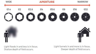 LOREM IPSUM
DOLOR SIT AMET
Lorem ipsum dolor sit amet, consectetuer adipiscing elit
 