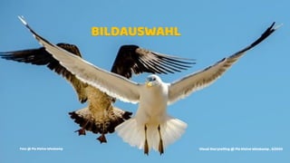 33
ERFOLFgsbild
Beginnen Sie mit dem Ziel Im Sinn
BILDAUSWAHL
Foto @ Pia Kleine Wieskamp Visual Storytelling @ Pia Kleine Wieskamp , 3/2020
 