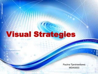 Visual Strategies Paulina Tjandrawibawa MDIA5003 