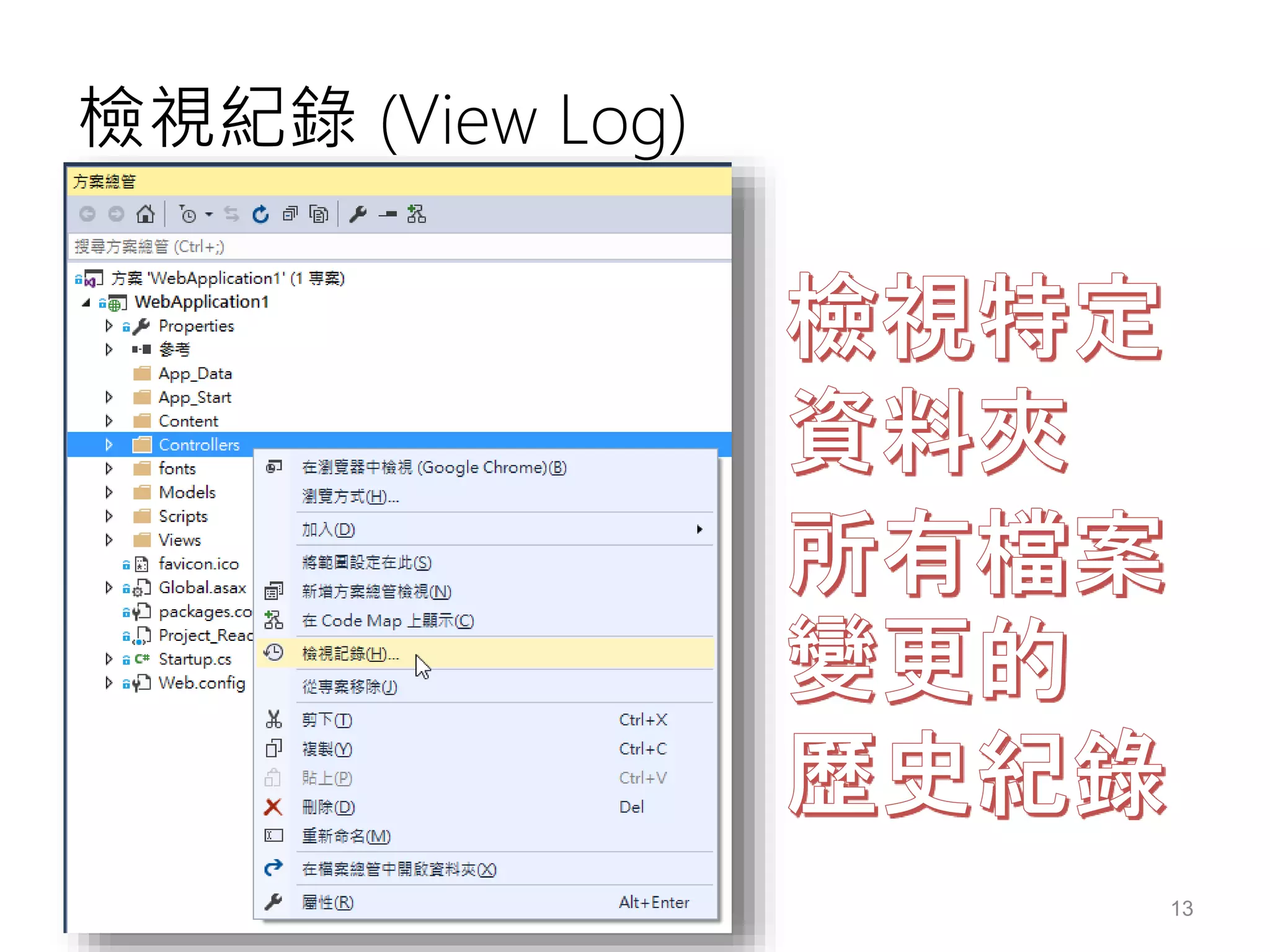 檢視紀錄 (View Log)
13
 