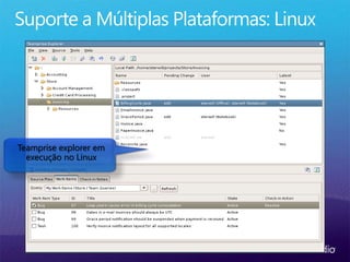 Teamprise explorer em
execução no Linux
 