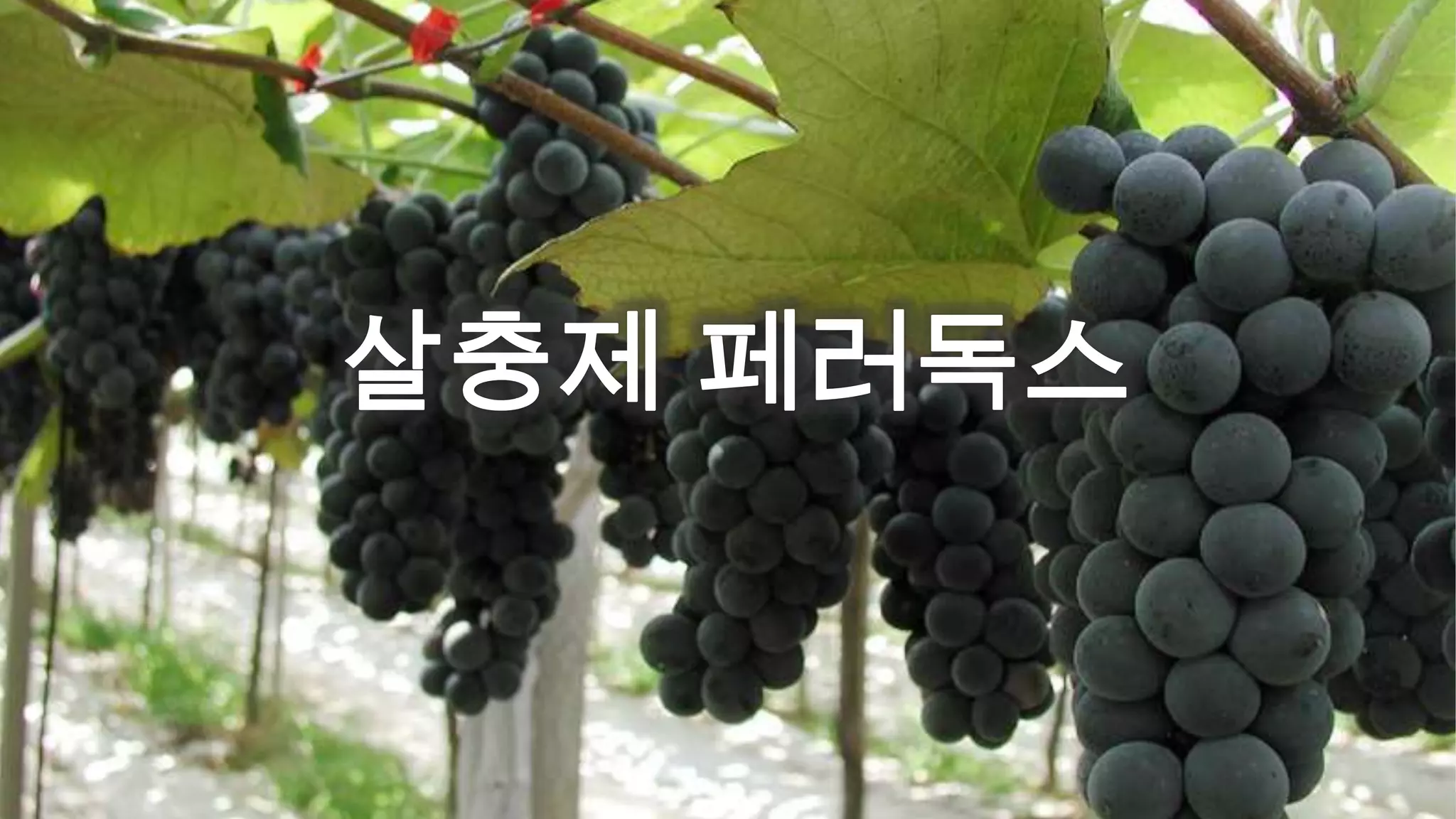 Visual Studio Camp #1 한국 Visual Studio 공식 팀 http://vsts2010.net @vsts2010
 