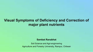 Visual Symptoms of Deficiency and Correction of
major plant nutrients
Sambat Ranabhat
Soil Science and Agri-enginnering
Agriculture and Forestry University, Rampur, Chitwan
 