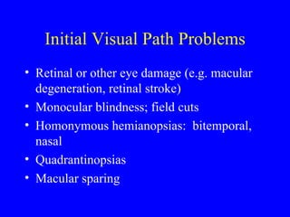 Visual Damage Visual system | PPT