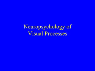 Neuropsychology of Visual Processes 