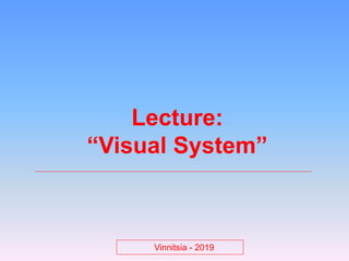 Lecture:
“Visual System”
Vinnitsia - 2019
 