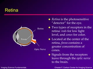 Imaging Science Fundamentals Chester F. Carlson Center for Imaging Science
Retina
 Retina is the photosensitive
“detector” for the eye.
 Two types of receptors in the
retina: rods for low light
level, and cones for color.
 Located at the center of the
retina, fovea contains a
greater concentration of
cones.
 Signals from the receptors
leave through the optic nerve
to the brain.
Retina
Optic Nerve
Fovea
 