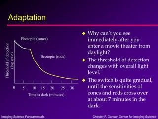 Imaging Science Fundamentals Chester F. Carlson Center for Imaging Science
Adaptation
 Why can’t you see
immediately after you
enter a movie theater from
daylight?
 The threshold of detection
changes with overall light
level.
 The switch is quite gradual,
until the sensitivities of
cones and rods cross over
at about 7 minutes in the
dark.
Photopic (cones)
Scotopic (rods)
0 5 10 15 20 25 30
Time in dark (minutes)
Threshold
of
detection
(log
scale)
 