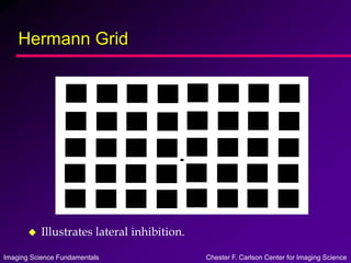 Imaging Science Fundamentals Chester F. Carlson Center for Imaging Science
Hermann Grid
 Illustrates lateral inhibition.
 