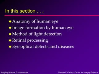 Imaging Science Fundamentals Chester F. Carlson Center for Imaging Science
In this section . . .
Anatomy of human eye
Image formation by human eye
Method of light detection
Retinal processing
Eye optical defects and diseases
 