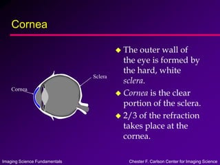 Imaging Science Fundamentals Chester F. Carlson Center for Imaging Science
Cornea
 The outer wall of
the eye is formed by
the hard, white
sclera.
 Cornea is the clear
portion of the sclera.
 2/3 of the refraction
takes place at the
cornea.
Sclera
Cornea
 