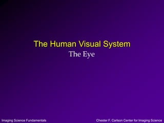Imaging Science Fundamentals Chester F. Carlson Center for Imaging Science
The Human Visual System
The Eye
 