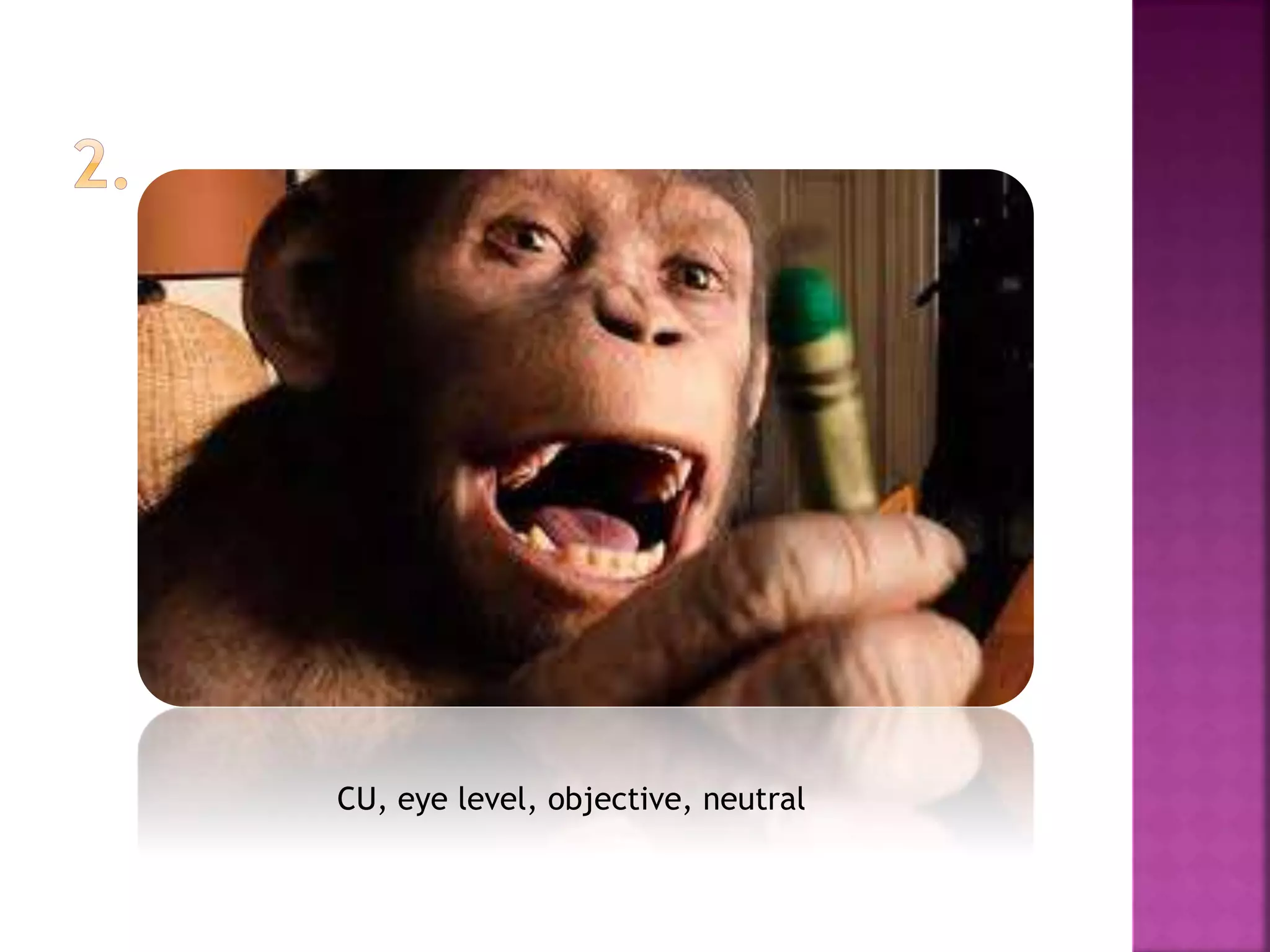 CU, eye level, objective, neutral