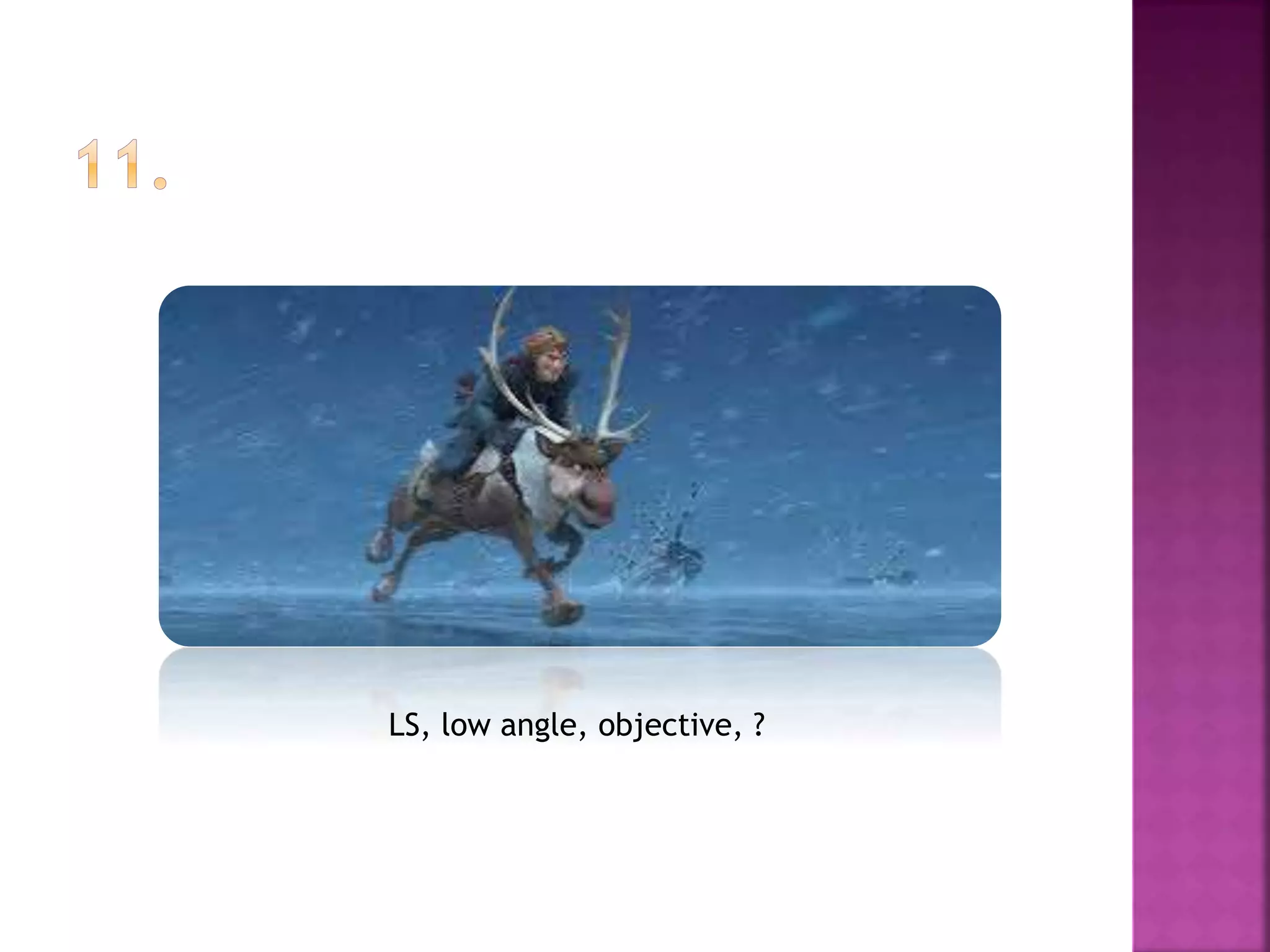 LS, low angle, objective, ?