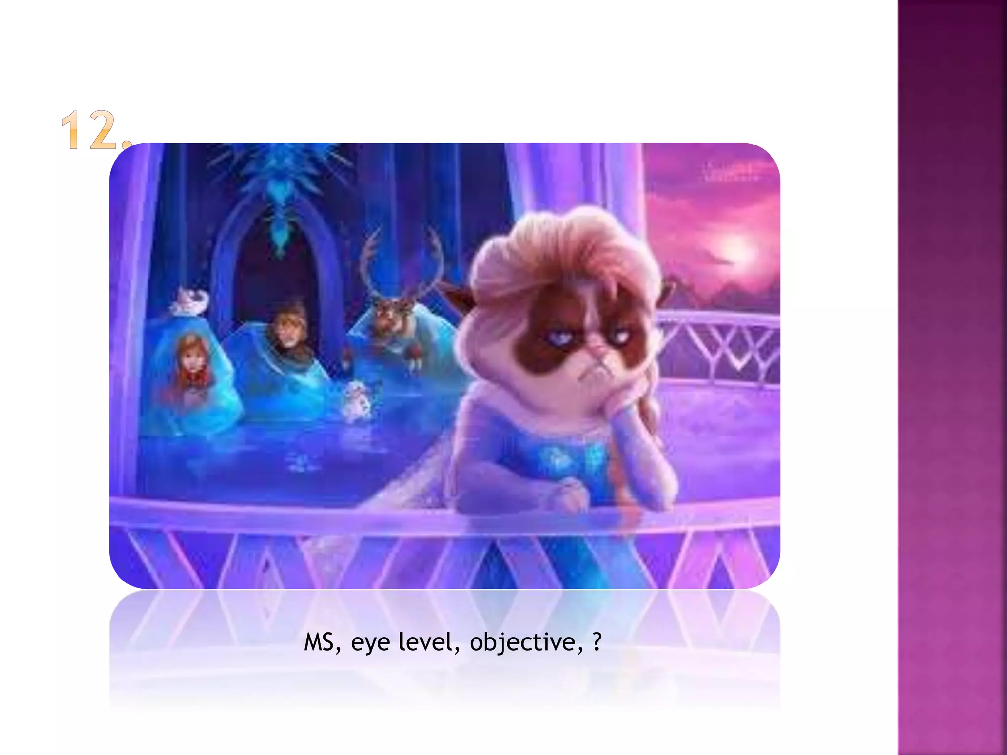 MS, eye level, objective, ?