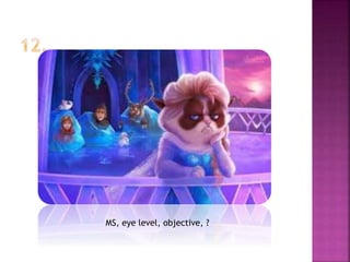 MS, eye level, objective, ?