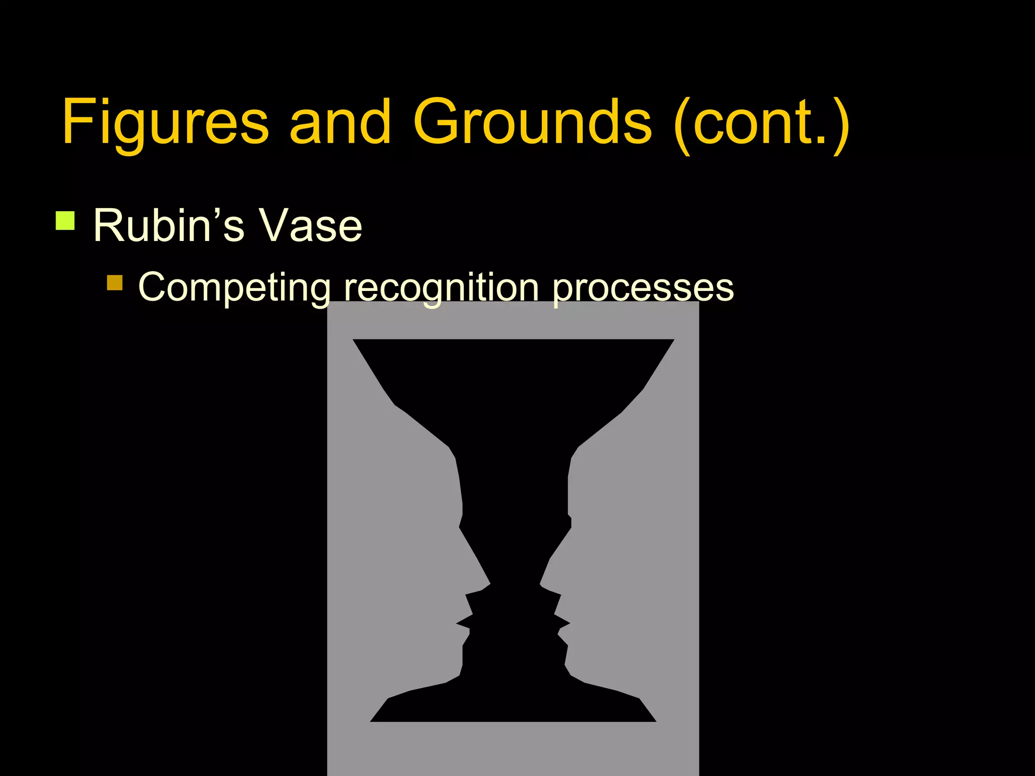 Figures and Grounds (cont.)


Rubin’s Vase


Competing recognition processes

 
