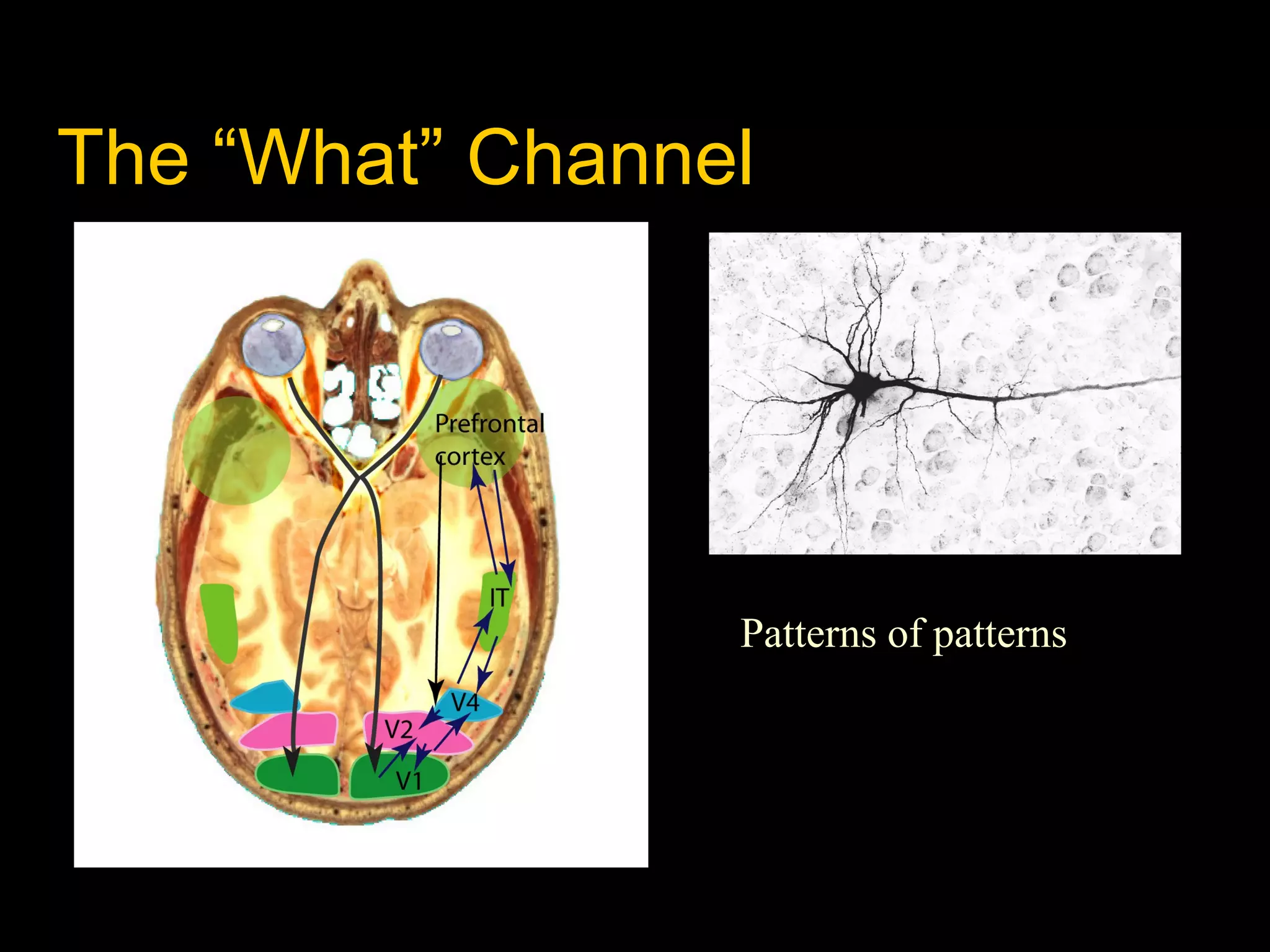 The “What” Channel

Patterns of patterns

 