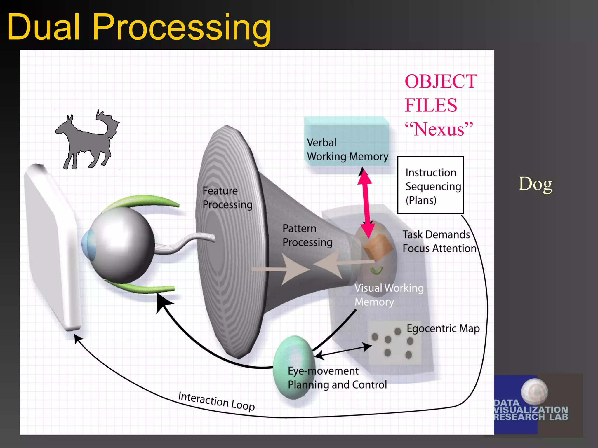 Dual Processing

Display

Features
Proto-objects and
Patterns

Verbal
Working
Memory

OBJECT
FILES
“Nexus”

Visual
Working
Memory

Dog
GIST

Visual
Query

Egocentric object and
Pattern map

 