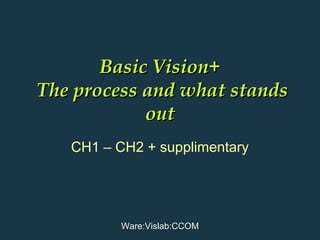 Basic Vision+
The process and what stands
out
CH1 – CH2 + supplimentary

Ware:Vislab:CCOM

 