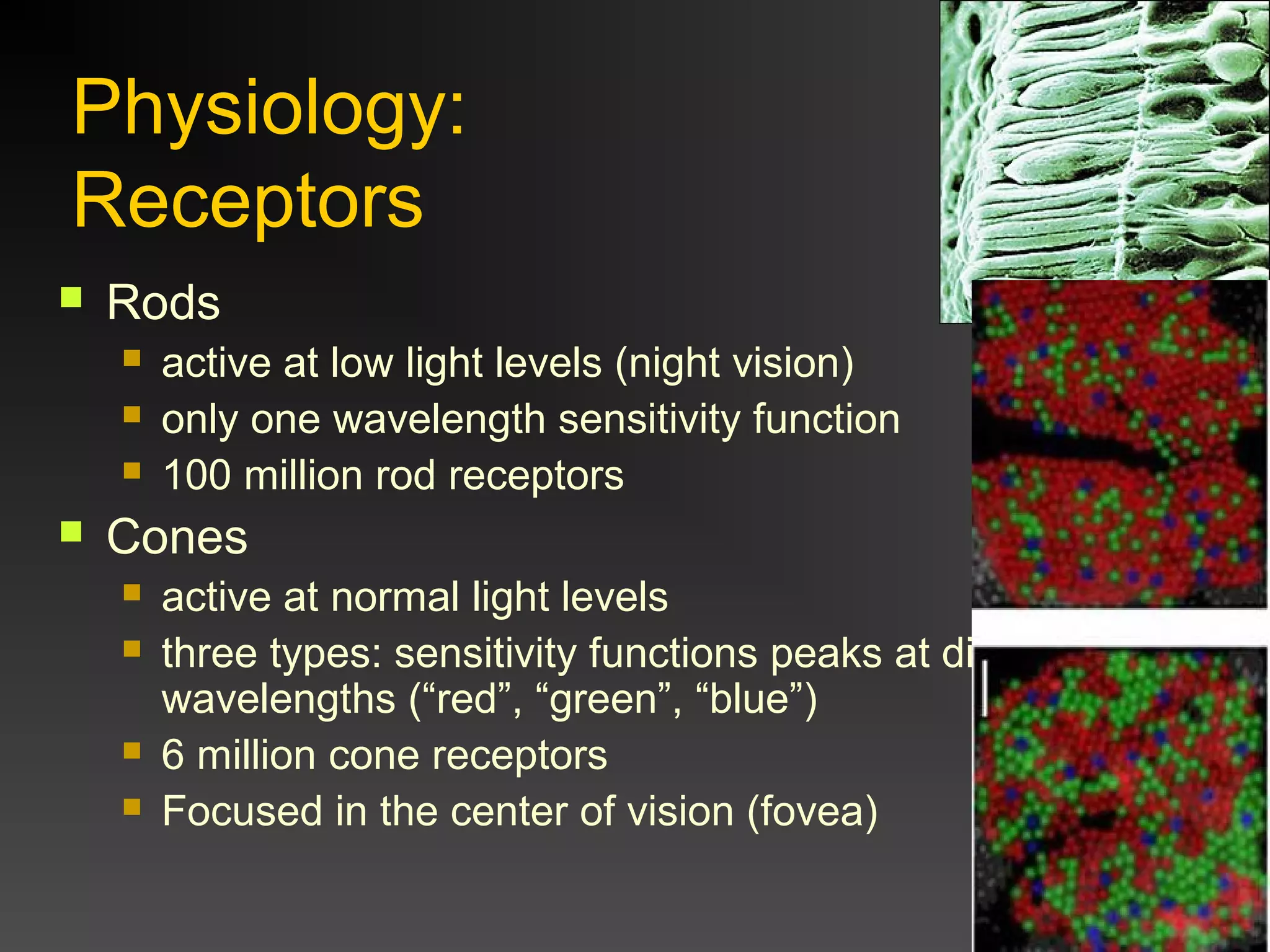 Visual thinking colin_ware_lectures_2013_5_color theory and color for ...