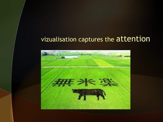 vizualisation captures the

attention

 