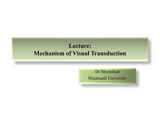 Lecture:
Mechanism of Visual Transduction
Dr Shamshad
Majamaah University
 