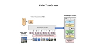 Vision Transformers
 