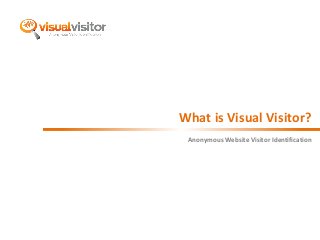 What is Visual Visitor? 
Anonymous Website Visitor Identification 
 