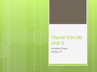 Visual Vocab
Unit 5
Andrew Shaw
AP Bio 5th
 