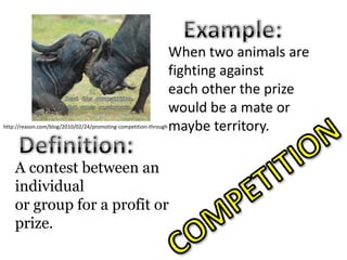 Example:When two animals are fighting against each other the prize would be a mate ormaybe territory. http://reason.com/blog/2010/02/24/promoting-competition-throughDefinition:A contest between an individualor group for a profit or prize.COMPETITION