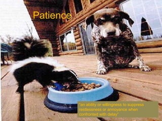 Patience “an ability or willingness to suppress restlessness or annoyance when confronted with delay” 