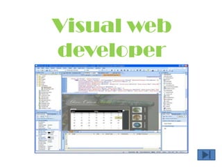 Visual web developer 