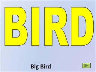 Big Bird BIRD 