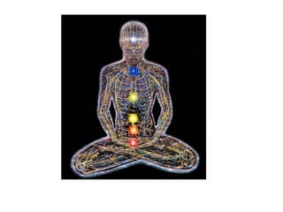 Visuele lijst de haas