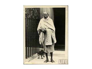 Visuele lijst de haas