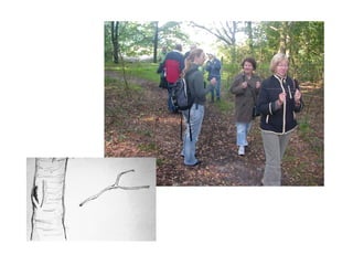 Visuele lijst de haas