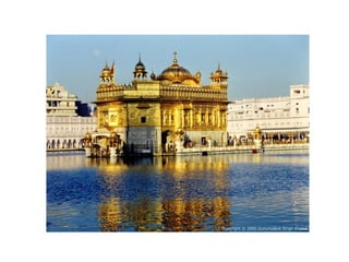 Visuele lijst de haas