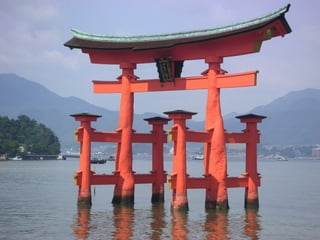 Visuele lijst de haas