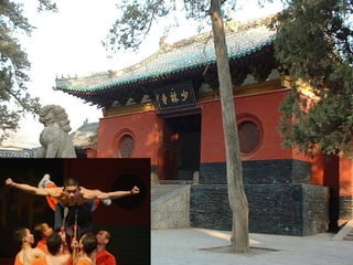 Visuele lijst de haas