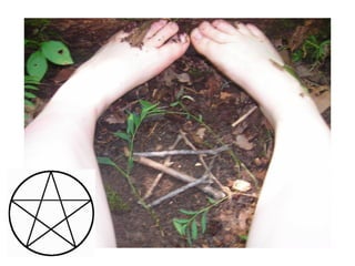 Visuele lijst de haas