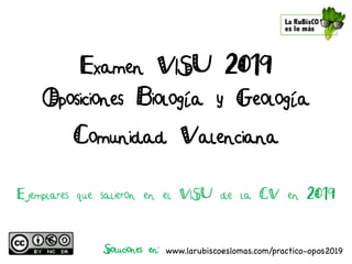 Examen VISU 2019
Oposiciones Biología y Geología
Comunidad Valenciana
Ejemplares que salieron en el VISU de la CV en 2019
Soluciones en: www.larubiscoeslomas.com/practico-opos2019
 