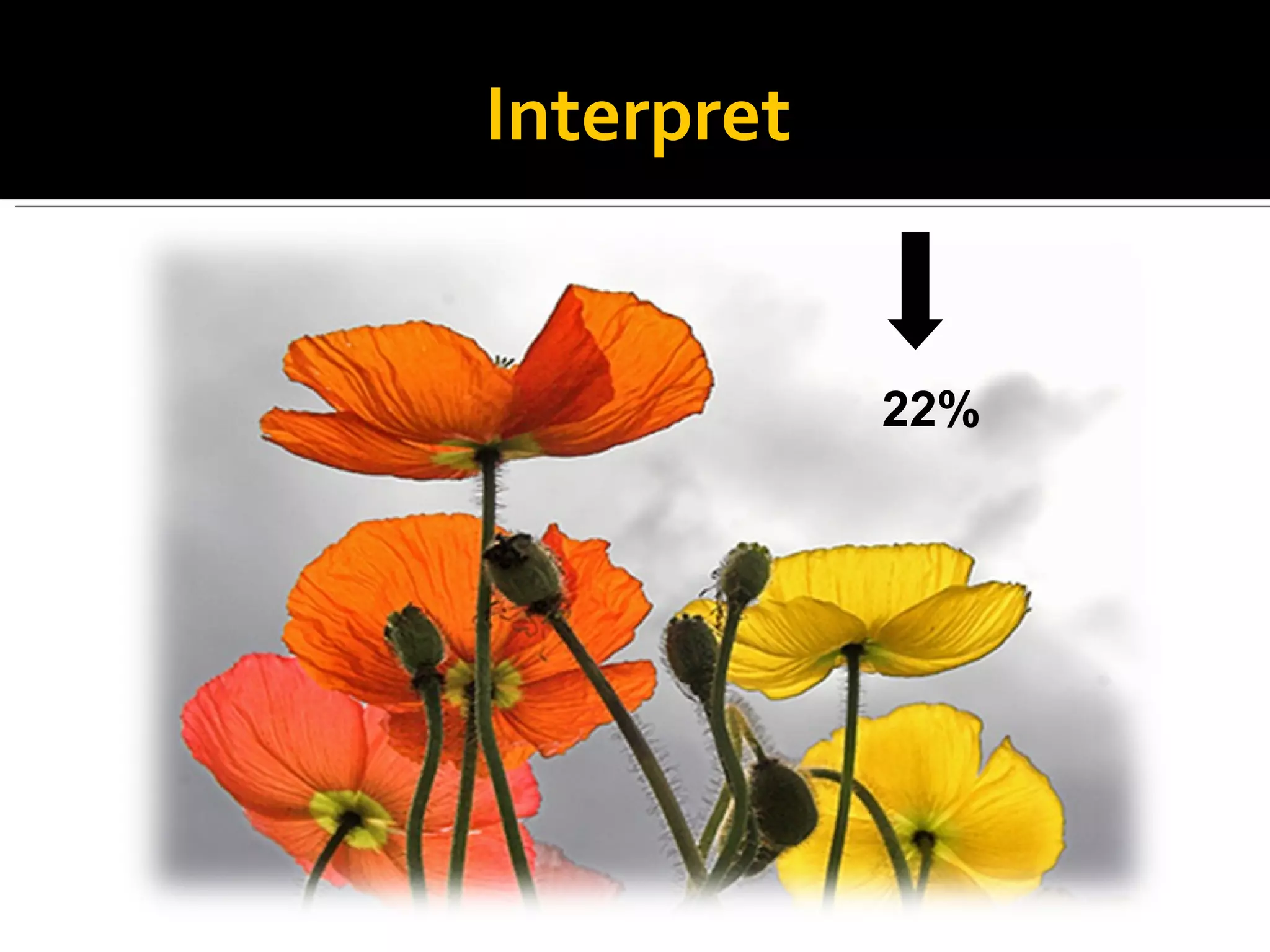 Interpret 22% 