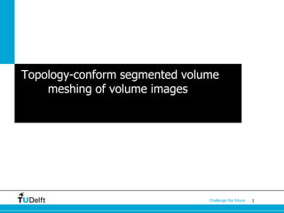 1Challenge the future
Topology-conform segmented volume
meshing of volume images
 