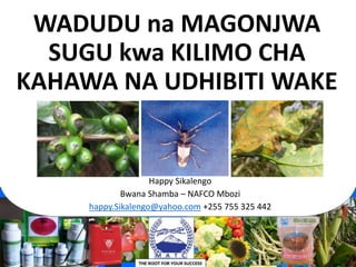 WADUDU na MAGONJWA
SUGU kwa KILIMO CHA
KAHAWA NA UDHIBITI WAKE
Happy Sikalengo
Bwana Shamba – NAFCO Mbozi
happy.Sikalengo@yahoo.com +255 755 325 442
 