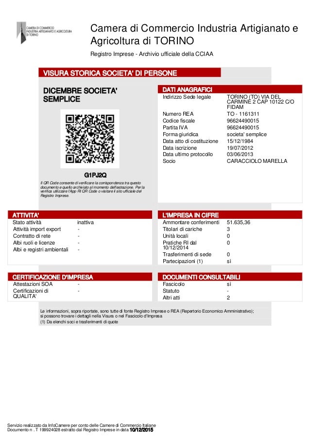 Camera di commercio torino visure camerali