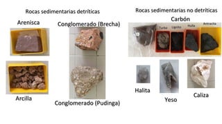 Rocas sedimentarias detríticasRocas sedimentarias detríticas
AreniscaArenisca
Conglomerado (Pudinga)Conglomerado (Pudinga)
Conglomerado (Brecha)Conglomerado (Brecha)
ArcillaArcilla
AntracitaAntracita
LignitoLignito HullaHulla
TurbaTurba
Rocas sedimentarias no detríticasRocas sedimentarias no detríticas
CarbónCarbón
CalizaCaliza
YesoYeso
HalitaHalita
 