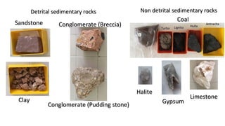 Detrital sedimentary rocksDetrital sedimentary rocks
SandstoneSandstone
Conglomerate (Pudding stone)Conglomerate (Pudding stone)
Conglomerate (Breccia)Conglomerate (Breccia)
ClayClay
AntracitaAntracita
LignitoLignito HullaHulla
TurbaTurba
Non detrital sedimentary rocksNon detrital sedimentary rocks
CoalCoal
LimestoneLimestone
GypsumGypsum
HaliteHalite
 